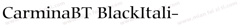 CarminaBT BlackItali字体转换